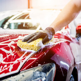 how to
                    maintain your car's or bike's paint